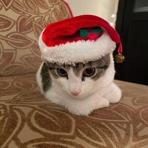 Meet your Posher, Evan